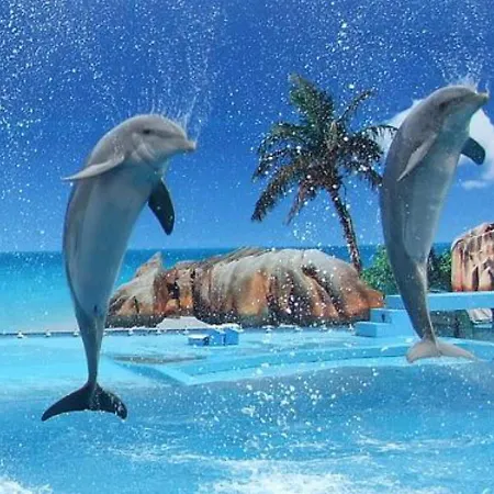 Apartment 1 Bed Flat - Sleeps 2 - Parking - Wifi Albufeira